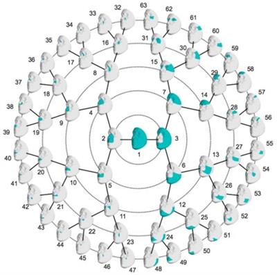 SNPs Associated With Testosterone Levels Influence Human Facial Morphology